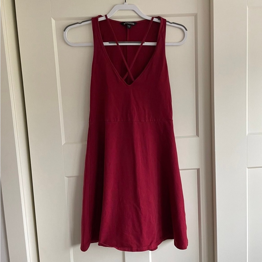 Express Skater Dress